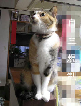 DSCN5024.jpg