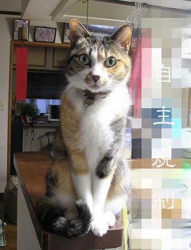 DSCN5027.jpg