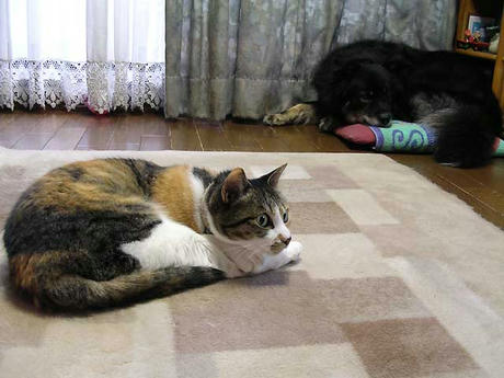DSCN5051.jpg