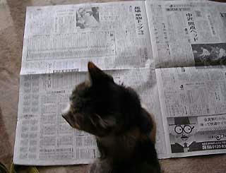 DSCN5066.jpg