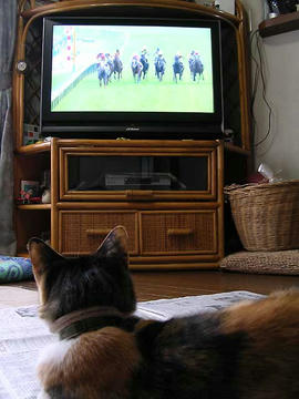DSCN5068.jpg