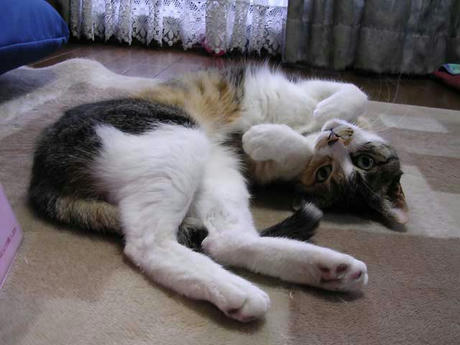 DSCN5053.jpg