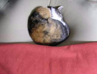 DSCN5029.jpg