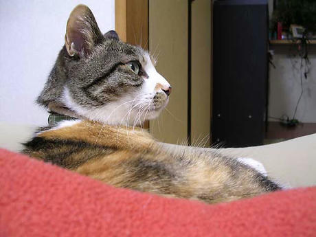 DSCN5034.jpg