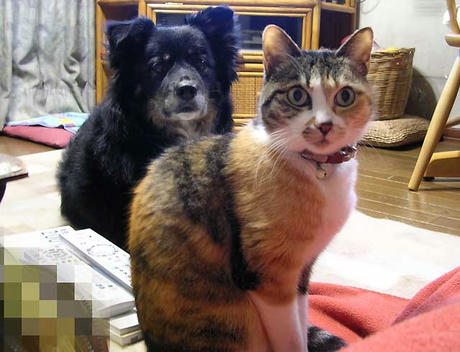 DSCN5064.jpg