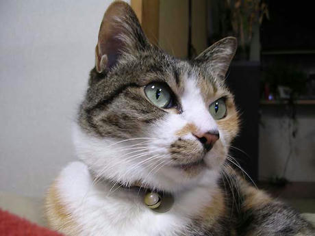 DSCN5044.jpg