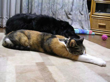 DSCN5071.jpg