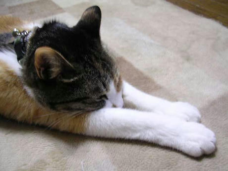 DSCN5075.jpg