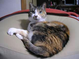 DSCN5084.jpg