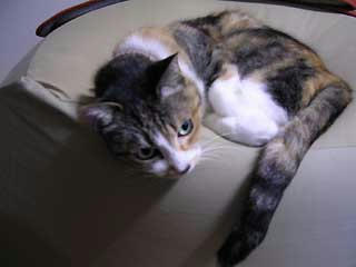 DSCN5085.jpg