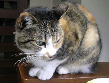 DSCN5108.jpg