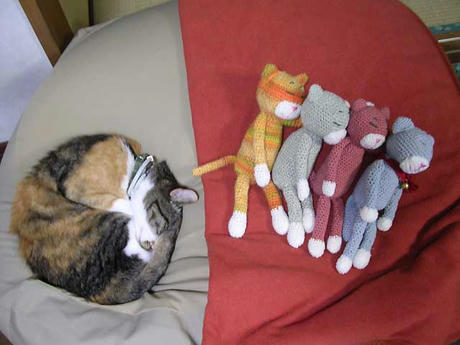 DSCN5171.jpg