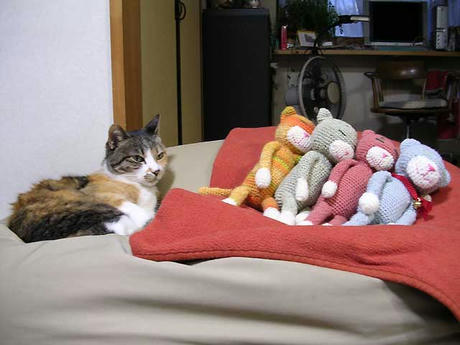 DSCN5173.jpg