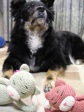 DSCN5162.jpg