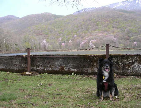DSCN5202.jpg