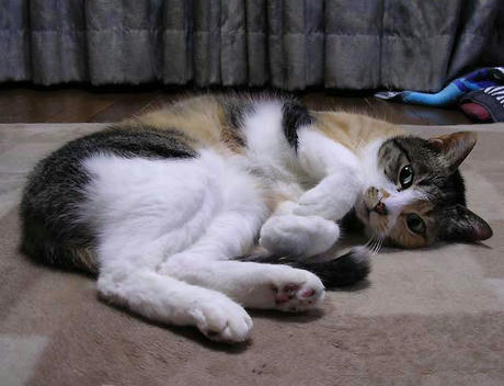 DSCN5286.jpg
