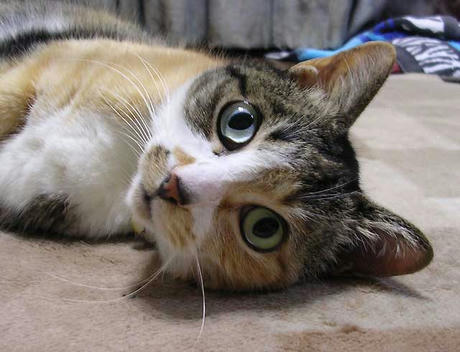 DSCN5297.jpg