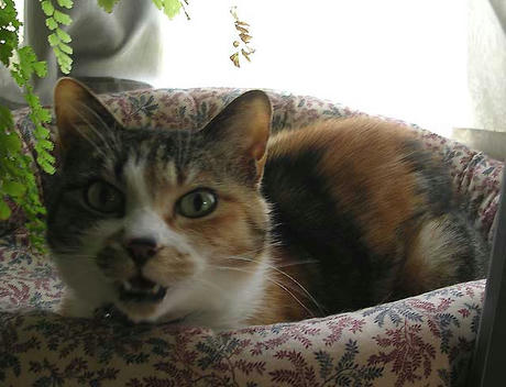 DSCN5301.jpg