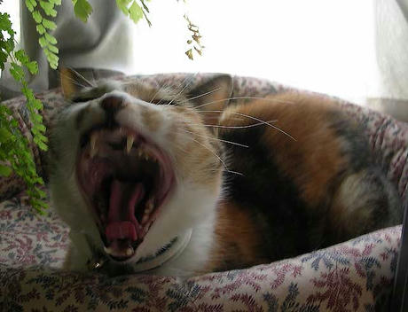 DSCN5302.jpg