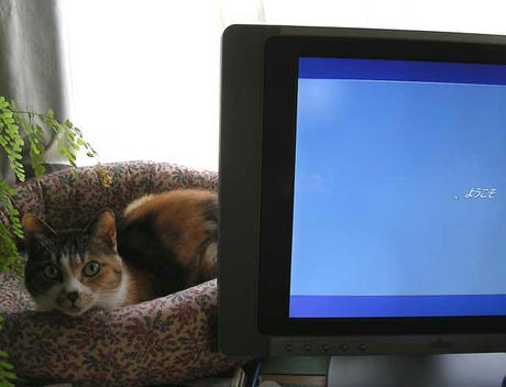 DSCN5305.jpg