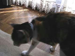 DSCN5321.jpg