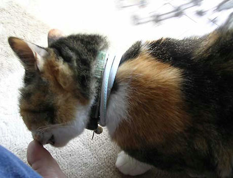 DSCN5323.jpg