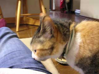 DSCN5319.jpg