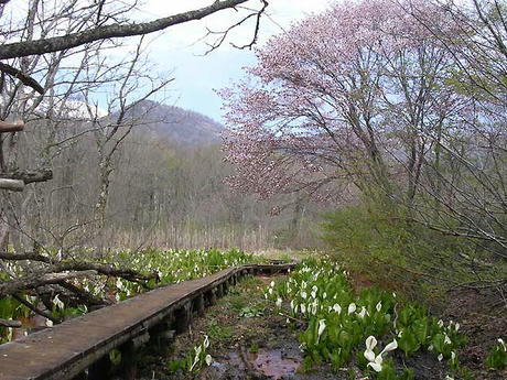 DSCN5209.jpg