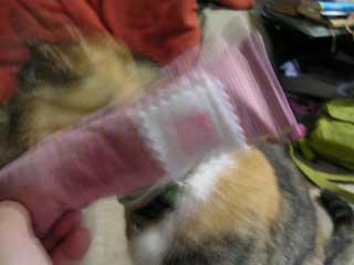 DSCN5347.jpg