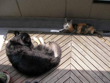 DSCN5334.jpg