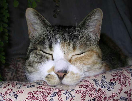 DSCN5343.jpg