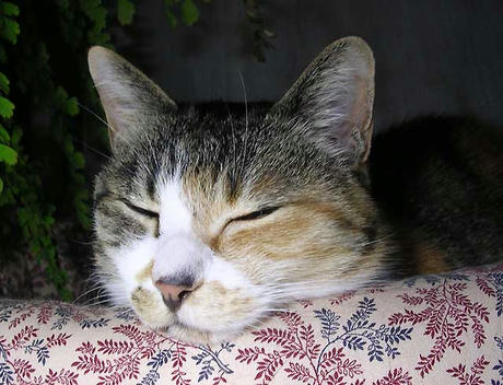 DSCN5344.jpg