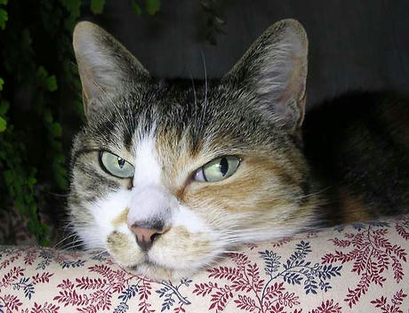 DSCN5345.jpg