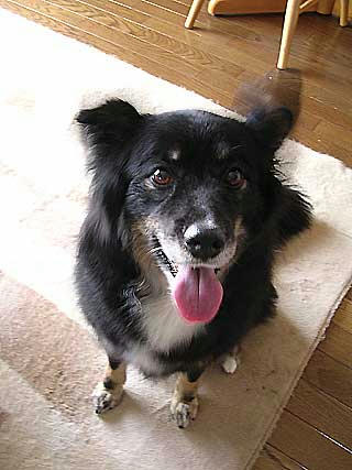 DSCN5405.jpg