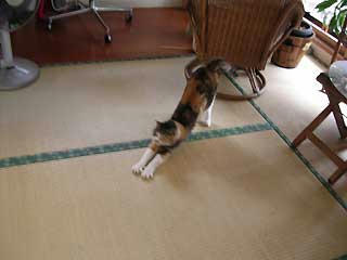 DSCN5409.jpg