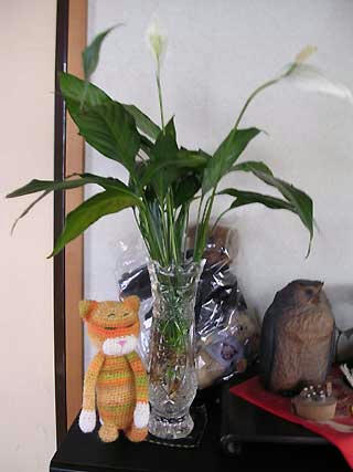 DSCN5414.jpg