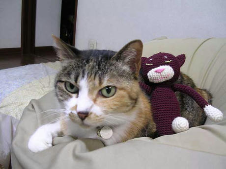 DSCN5475.jpg
