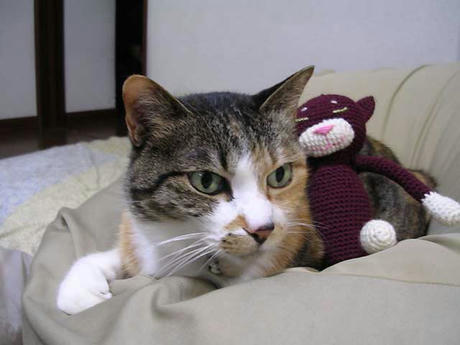 DSCN5476.jpg