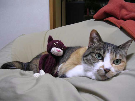 DSCN5478.jpg