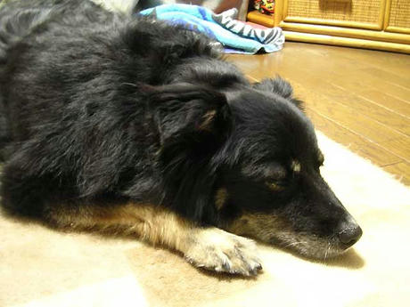 DSCN5583.jpg