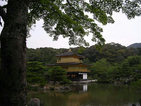 DSCN5509.jpg