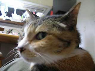 DSCN5591.jpg