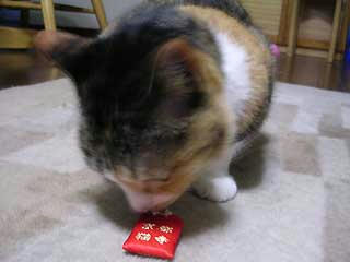 DSCN5592.jpg