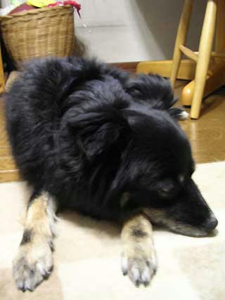 DSCN5594.jpg