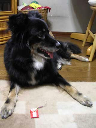 DSCN5596.jpg