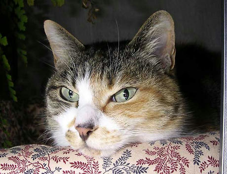 DSCN5420.jpg