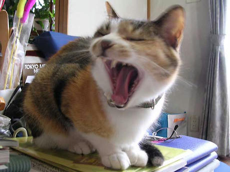 DSCN5610.jpg