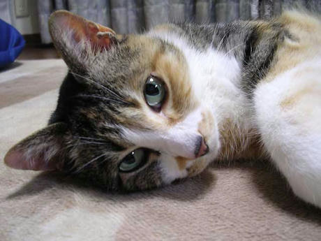 DSCN5631.jpg