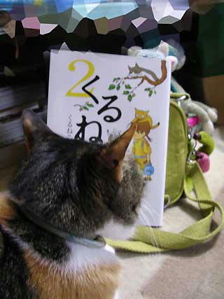 DSCN5645.jpg