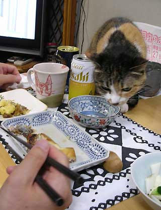 DSCN5649.jpg